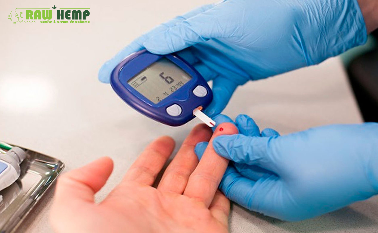 ¿Aceite de CBD Como Cura de la Diabetes?