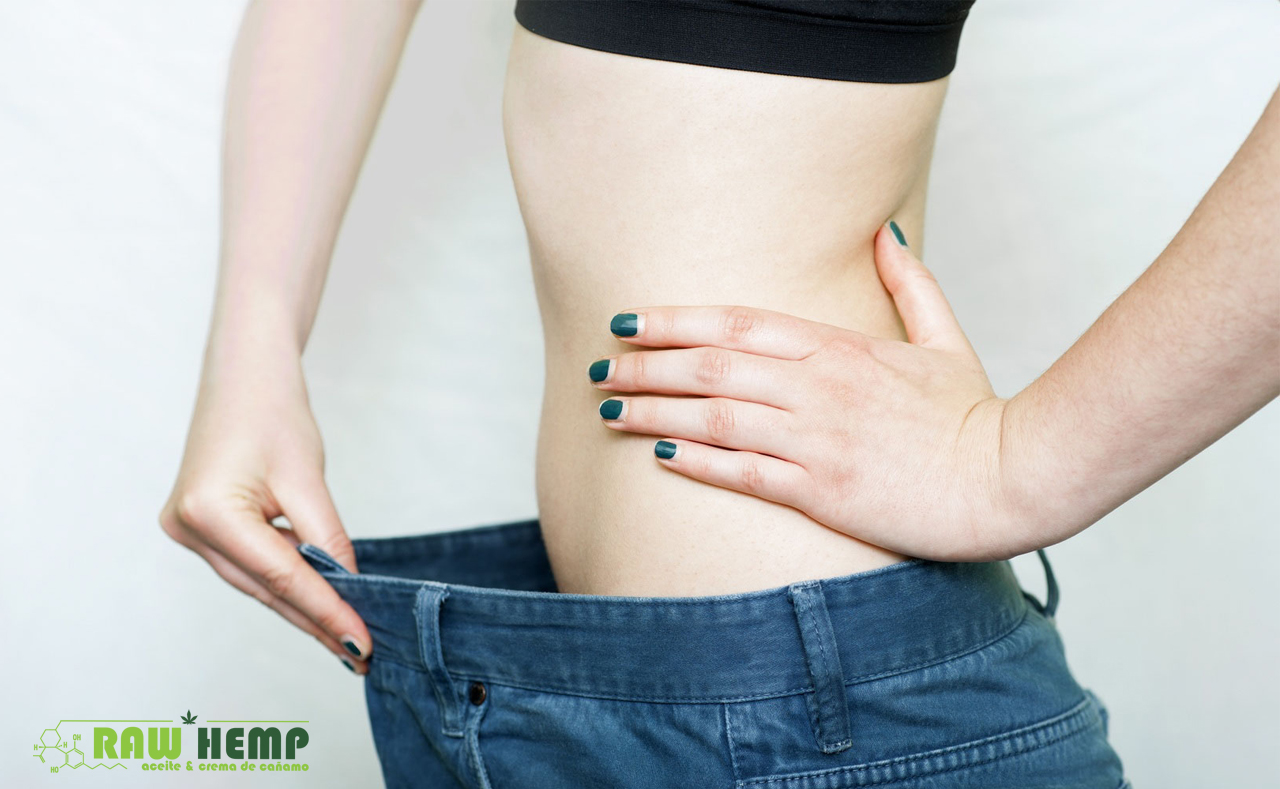 Cannabidiol y Anorexia: Novedoso Tratamiento Contra Desórdenes Alimenticios