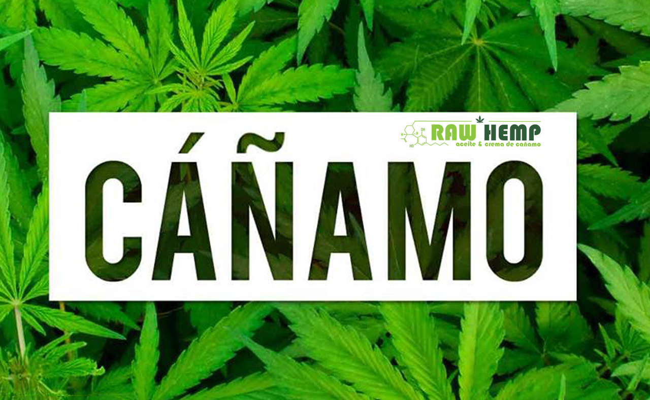 Cáñamo