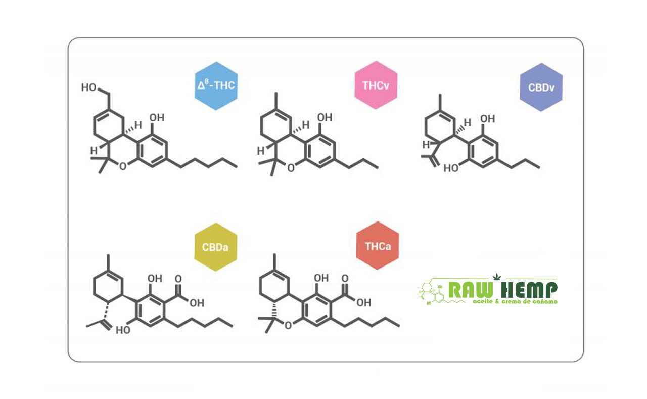 5 CANNABINOIDES QUE NO CONOCÍAS