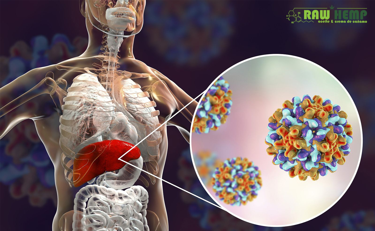 Efectividad del Cannabidiol Contra Virus de la Hepatitis