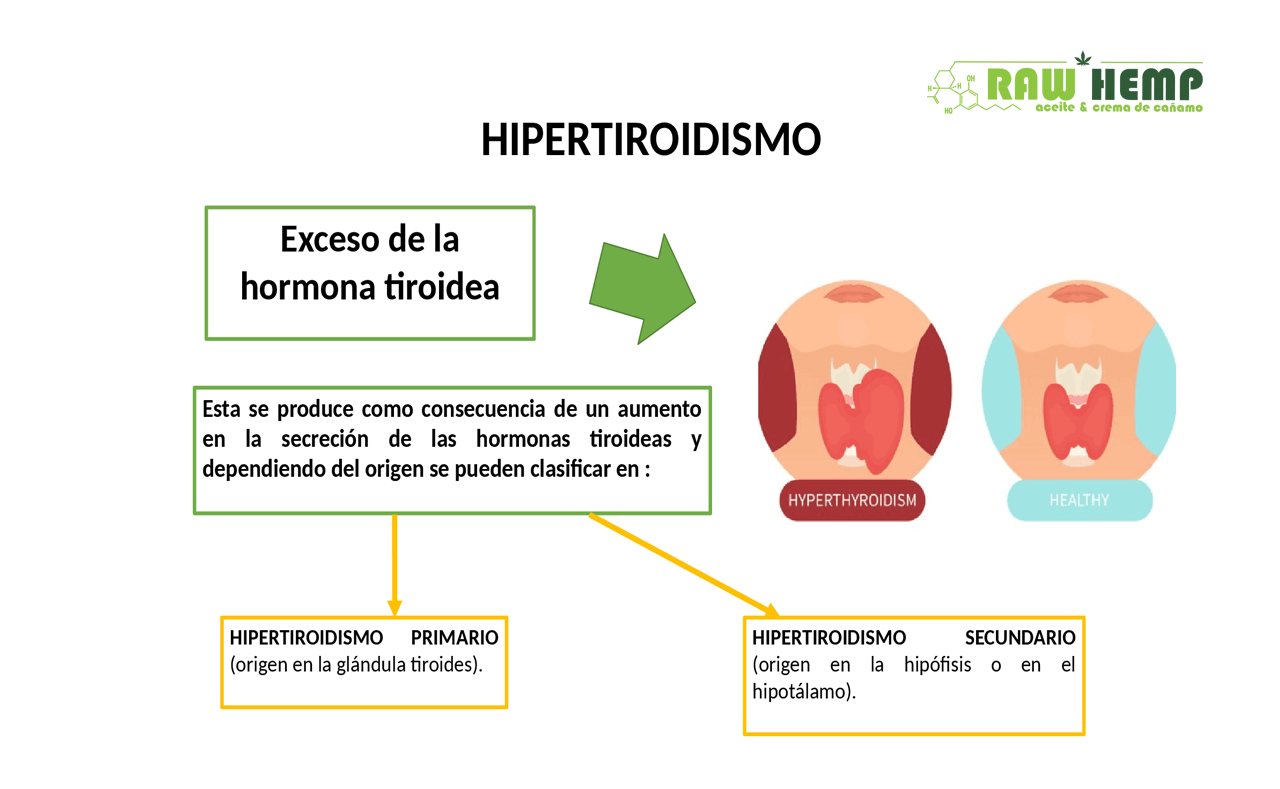 Hipertiroidismo y CBD
